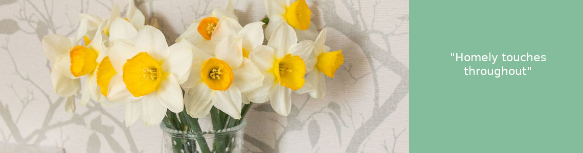 OC-daffodils Homely touches
